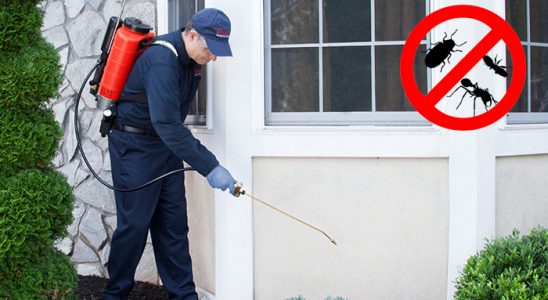 Serik Akrep İlaçlama böcek ilaçlama ve haşere kontrolü — ilaclama-tr.com